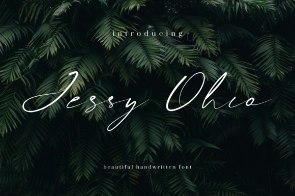Jessy Ohio: A Timeless Script Font