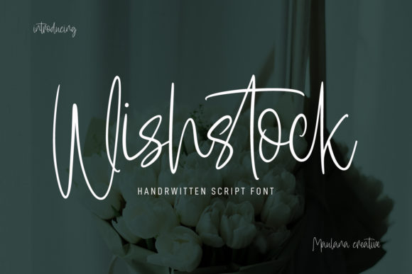 Wishstock: A Delicate Script Font for Web Design